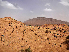 Desert Graveyard