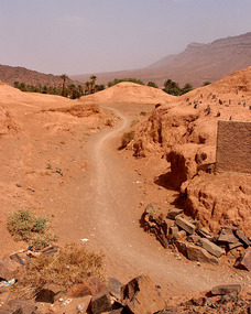 Women got of the bus and walked that way