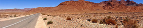 Delightful Desert Road