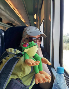 Frog didn't buy a ticket