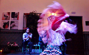 Flamenco Night