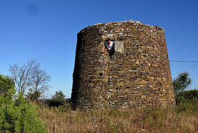 Dave in the Windmill