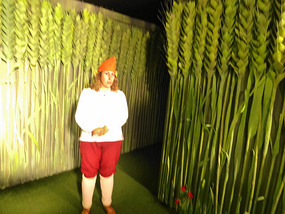 Elf in the Enchanted Forest