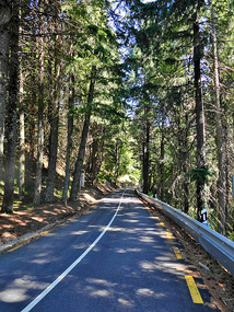 Serra da Estrela Nature Reserve 