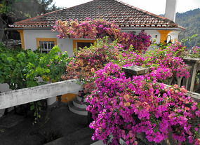 On bank of Tejo River, Casa Covao da Abitureia