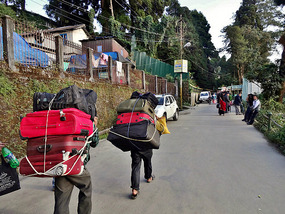 Porters Haul Everything 