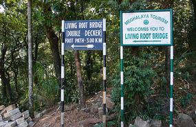 Cherrapungee Bridges Trail Head