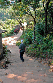 Stairway to Chasm