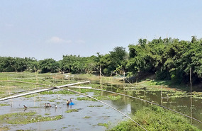 Fish Ponds