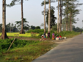 Assam Roadside