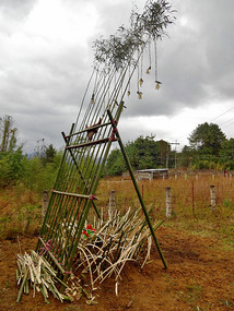 A woman's grave (biyu)
