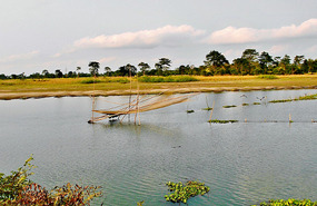 Fishing Cantilever