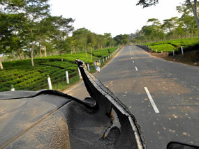 Road to Nagaland and Back