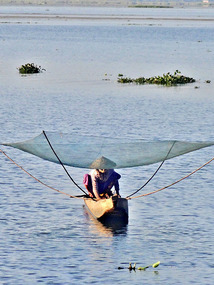 Net Fisher on Loktok Lake
