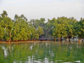 Delta Shores