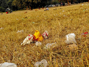 Maidan Park Litter