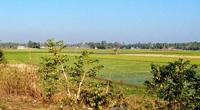 View from the Train