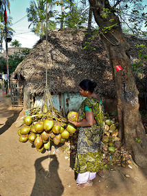 Coconut refresh stop