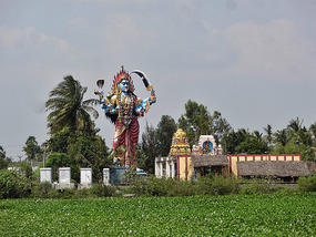 God in the rice paddy