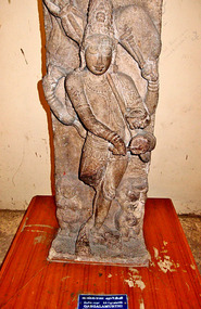 Palace Museum Collection
