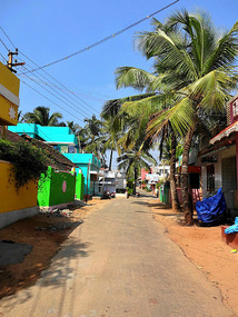 Colorful Homes in Kerala