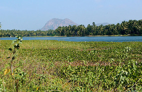 Moist Tamil Nadu
