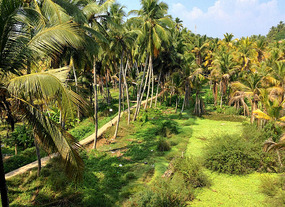 View from Vendanta Wake-up