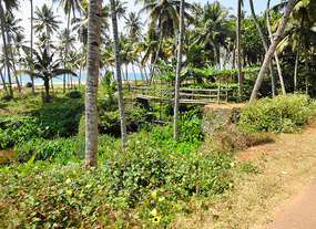 Beach so near - yet so far
