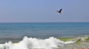 Sea of Arabia