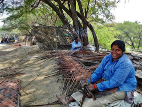Maximizing use of palm fronds