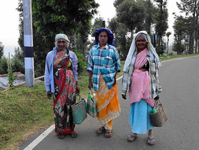 Kota Tribal women