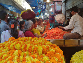 Flower Sellers of Mysore