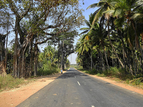 Road north of Mysore