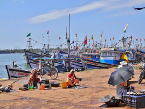 Fish sellers in the hot sun in Honnavara