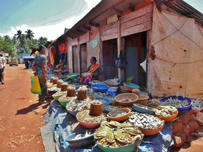 Honnavara Market