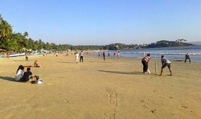 Palolem Cricket
