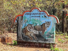 Oh My Tiger