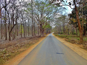 Teak Road
