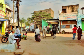 Village life in Hosepete