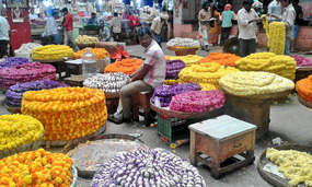 Coils of garlands to adorn hair and temples