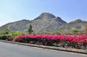 View from AH47