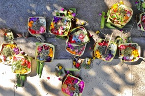 Daily Offerings in Bali