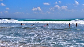 Surf's up