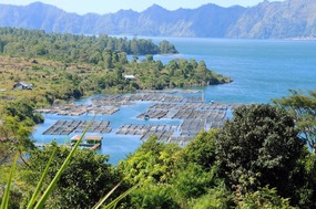 Lake Batur