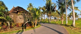 Serene Ubud Lane
