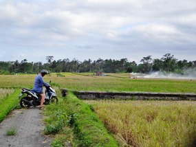 This road ended in the field