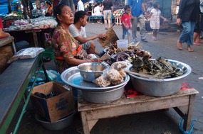 Gianyar Night Market
