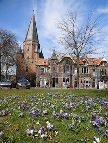 Zutphen at crocus time 
