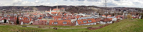 View of Sigmaringen from the hill