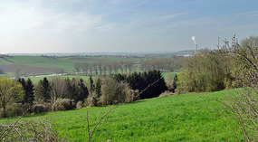 View from the Ehingen Hill
